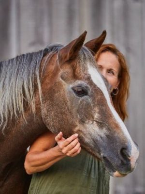Ein Pferd das durch regelmässige Massagen der Sehnen und Mobilisierung der Gelenke behandelt wurde.